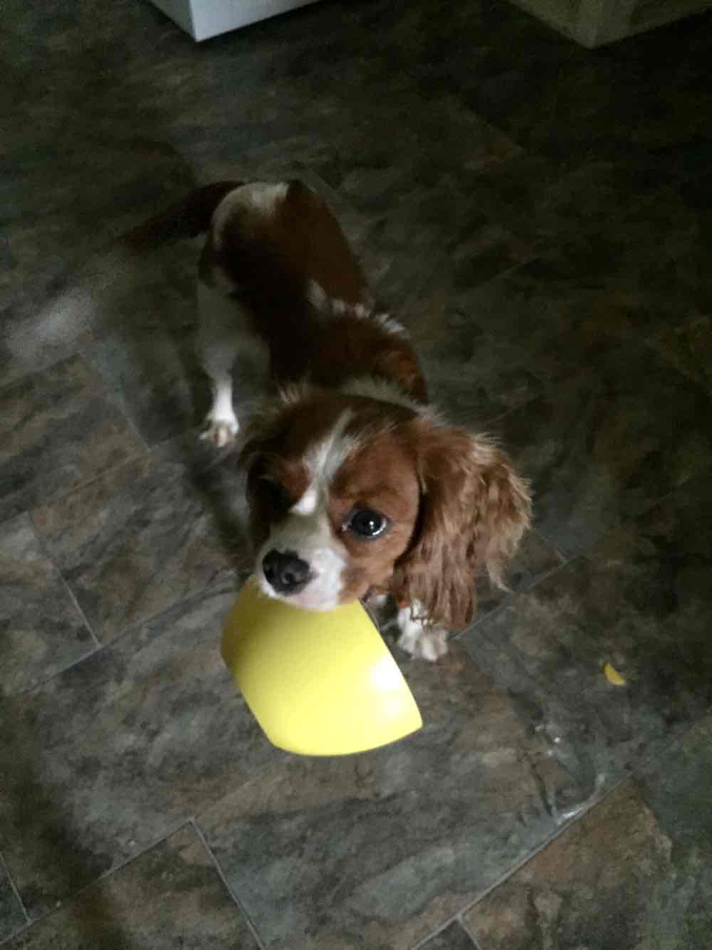 Michaela  - Queensland