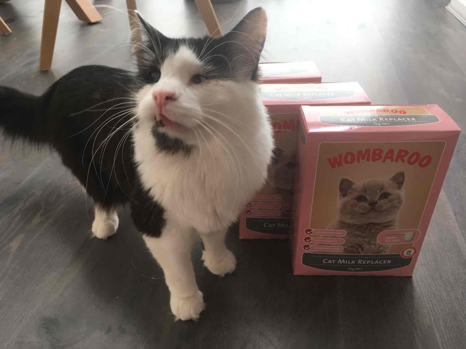 wombaroo kitten milk