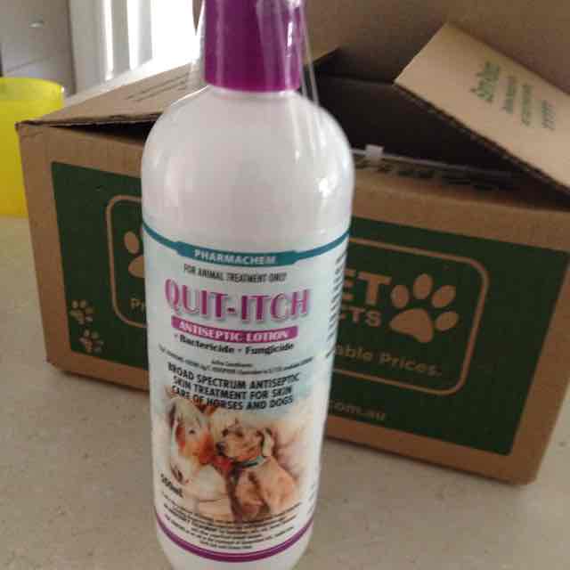 Quit itch lotion for hot sale dogs