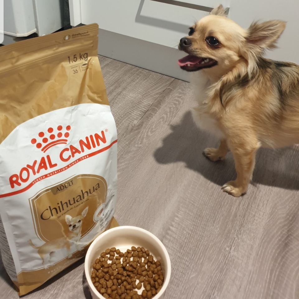 Royal Canin Chihuahua Adult Dry Dog Food 1.5kg 27.38