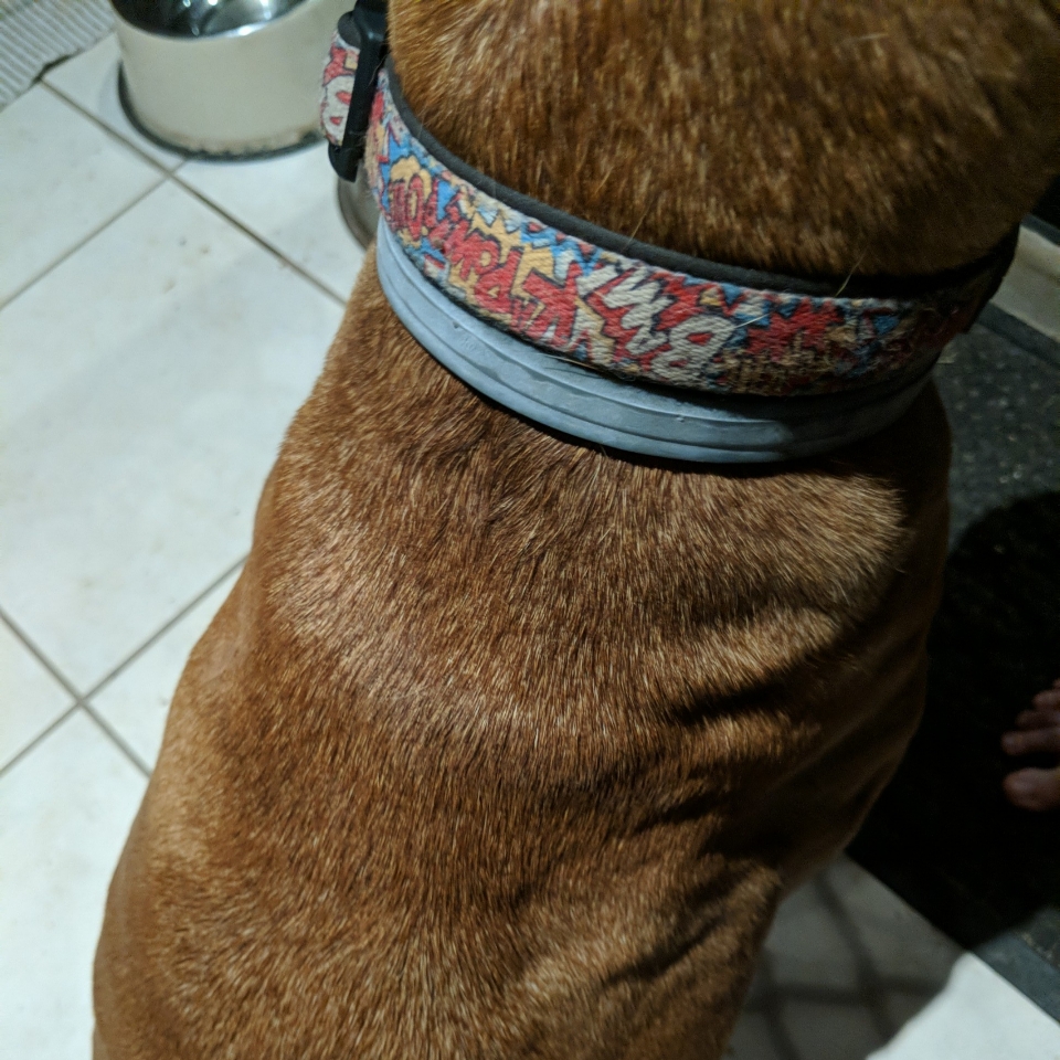wayslife flea collar