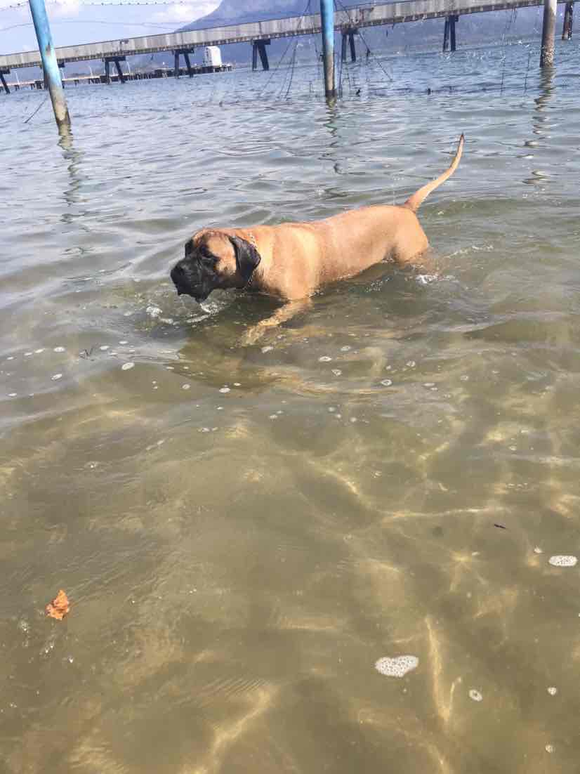 Michaela  - Queensland