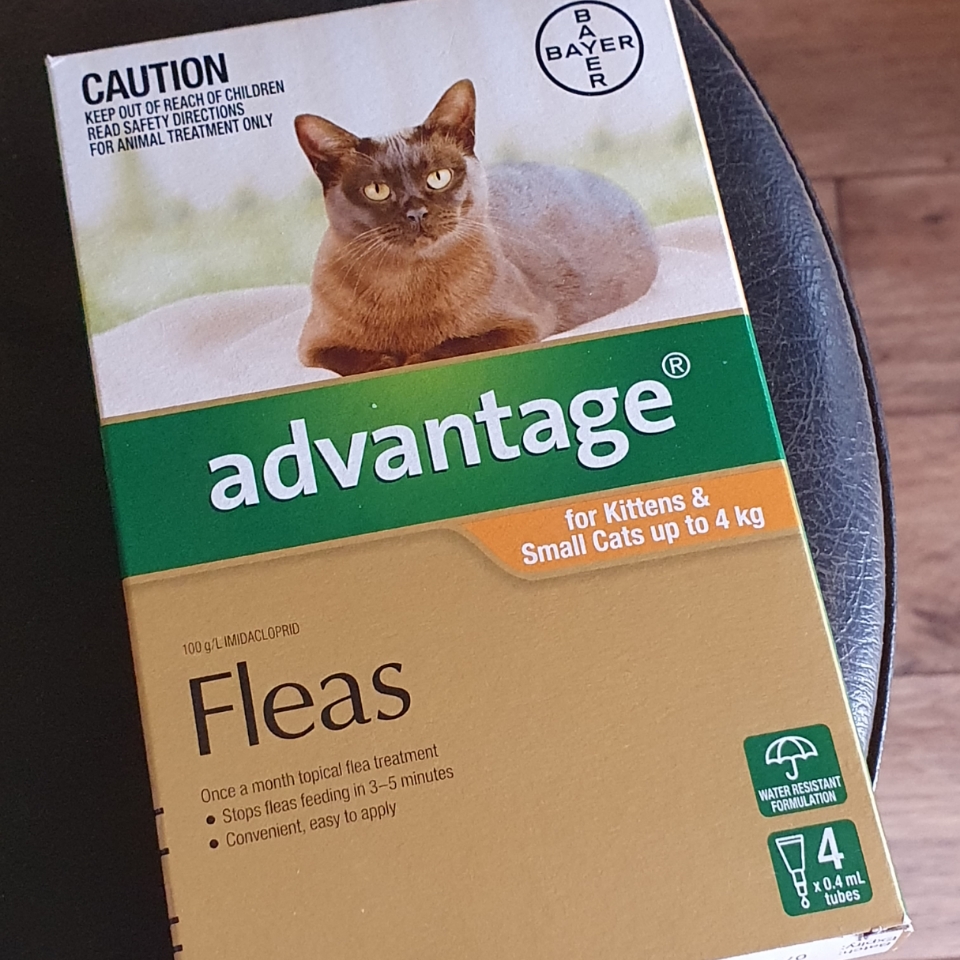 advantage for cats 4 pack
