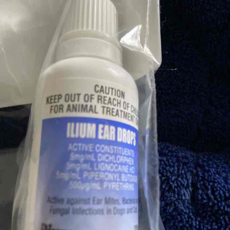 ilium ear drops petstock