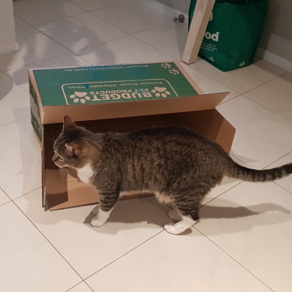 kong incline cat scratcher refill