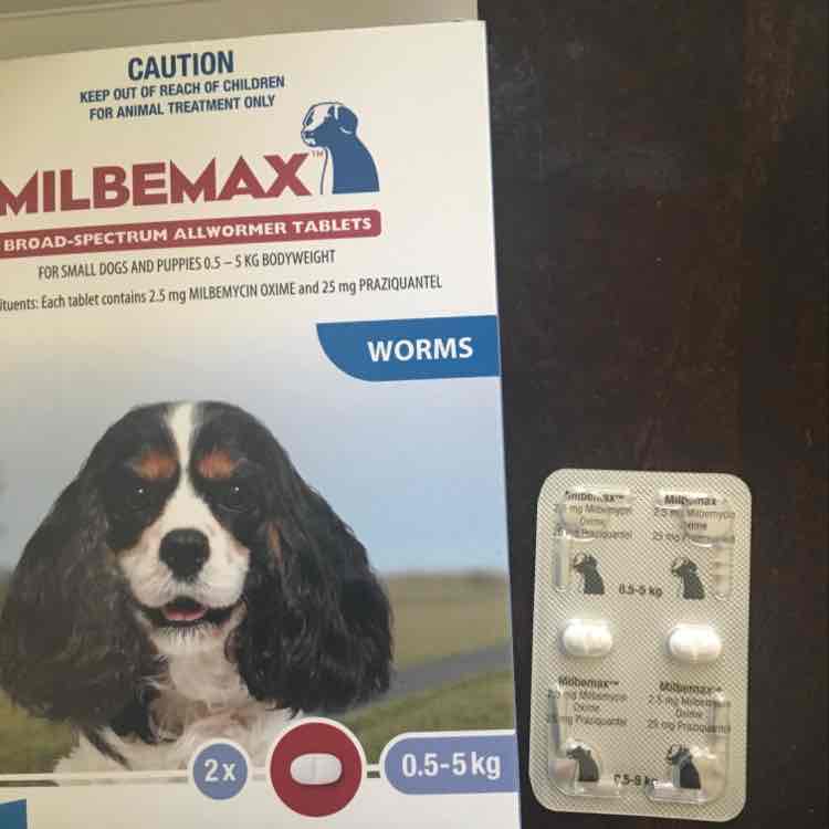 milbemax best price