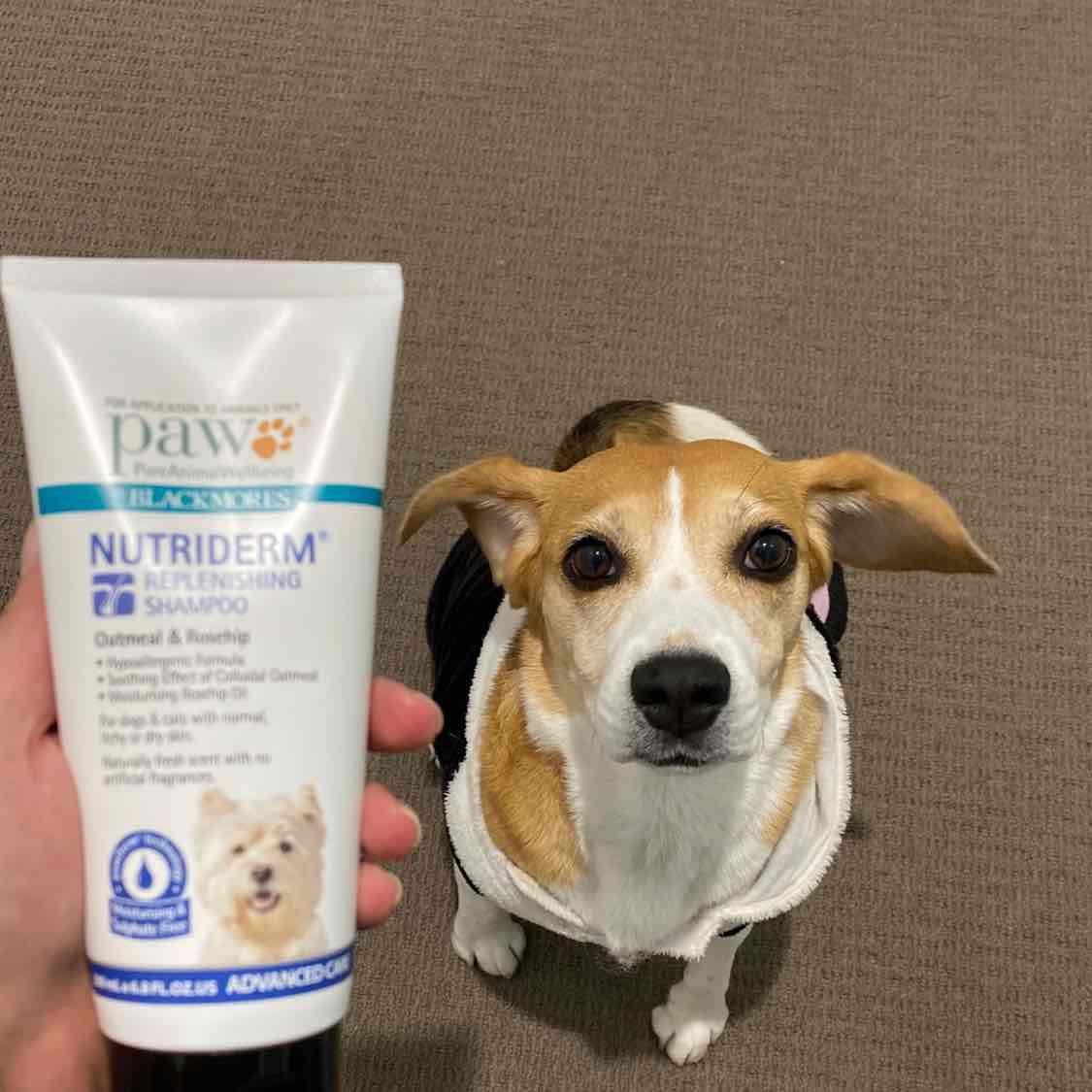 paw nutriderm