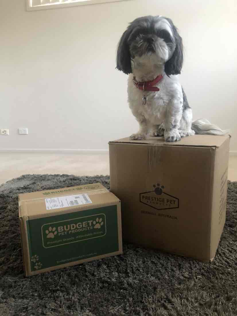 ilium ear drops petstock