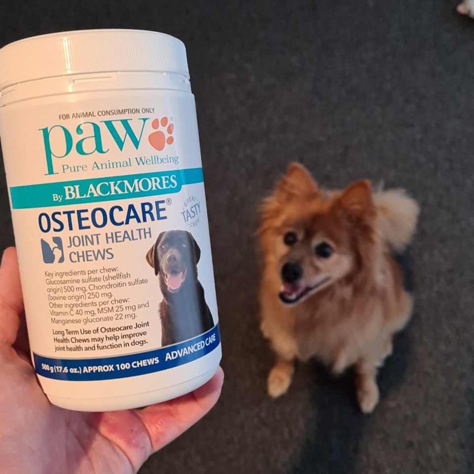 paw osteocare joint health chews 500g