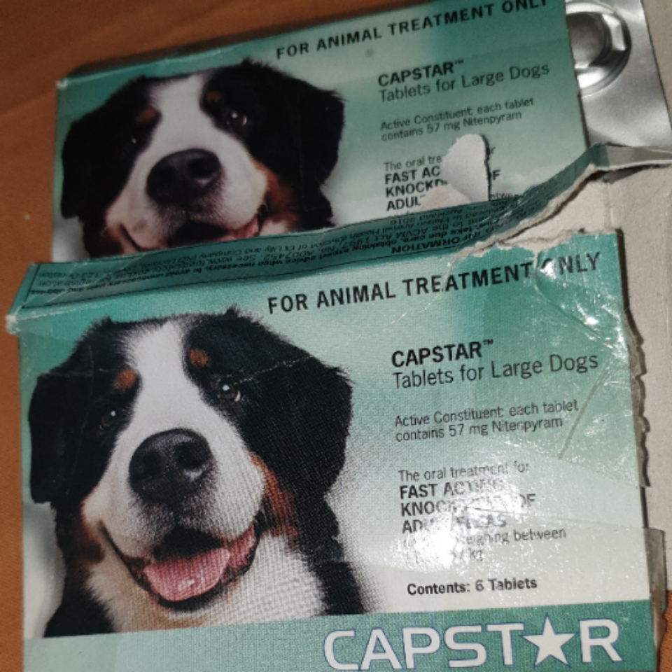 Capstar For Small Dogs And Cats 0.511kg 6 tablets 27.90