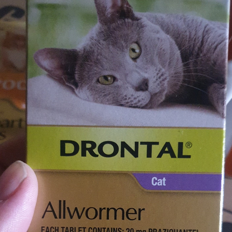 Drontal Allwormer For Cats New Easy Dose Shape 4kg 2 Tablets 19.73
