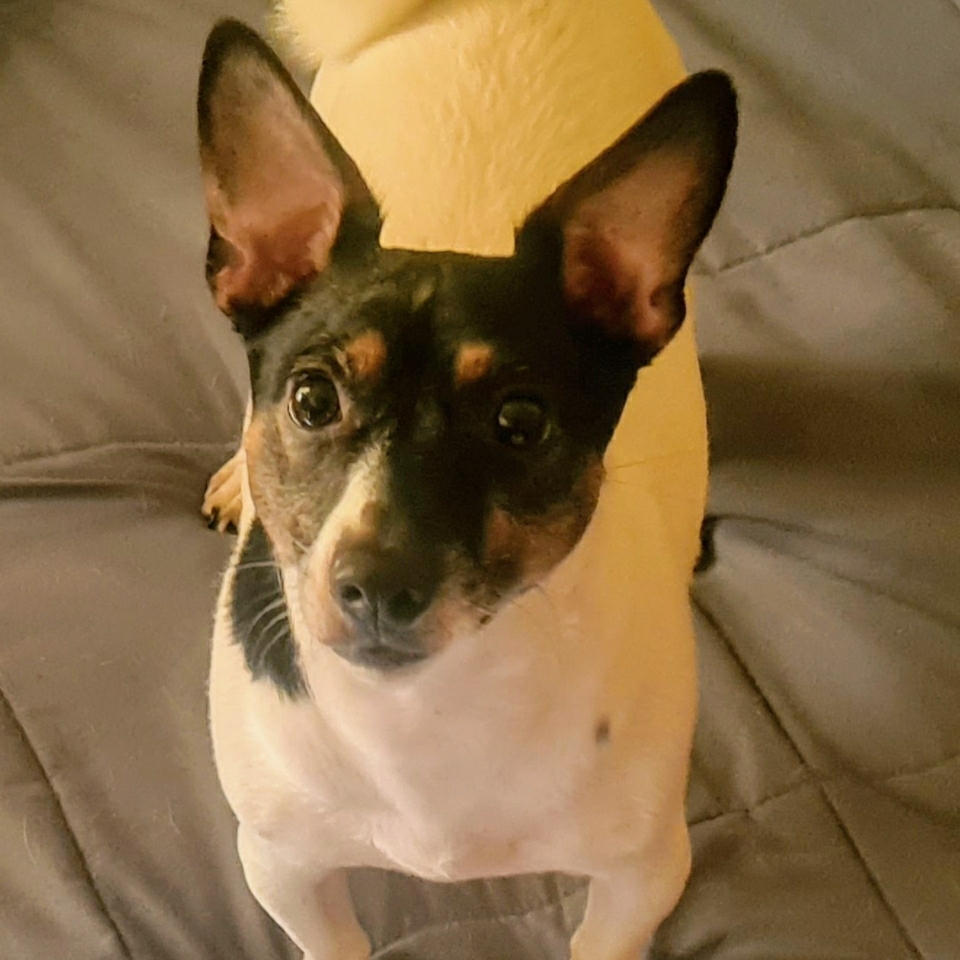 Belinda - New South Wales