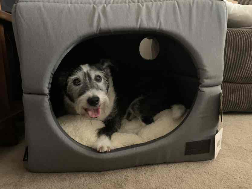 Nickola - New South Wales