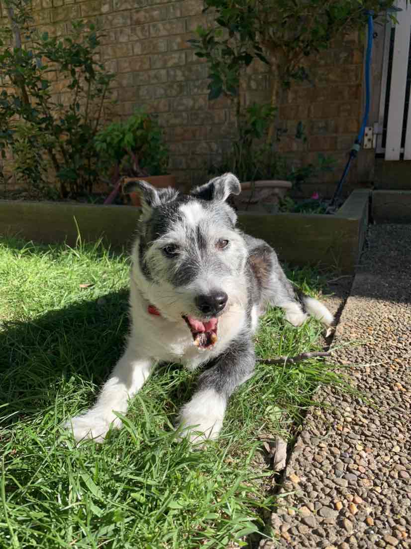 Nickola - New South Wales