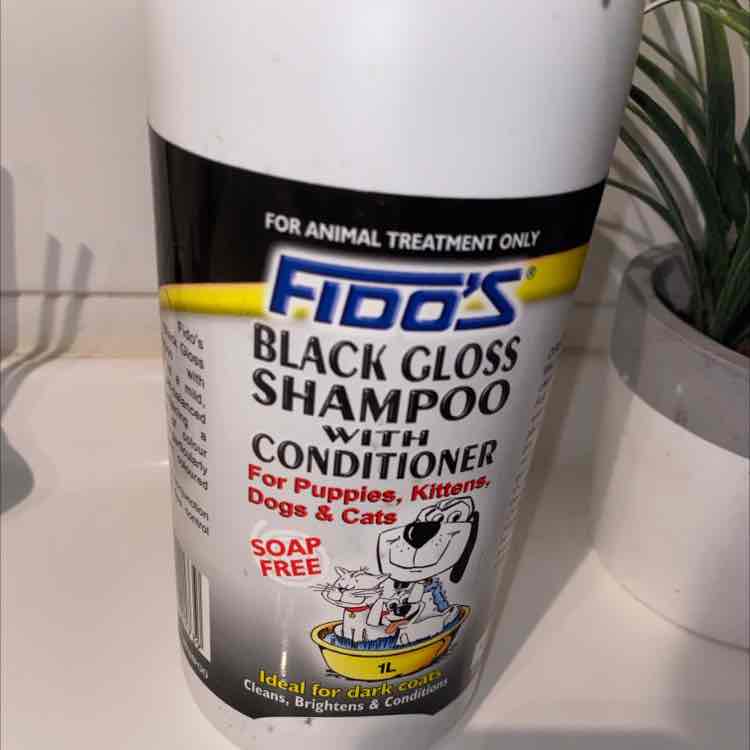 Fidos black gloss shampoo best sale