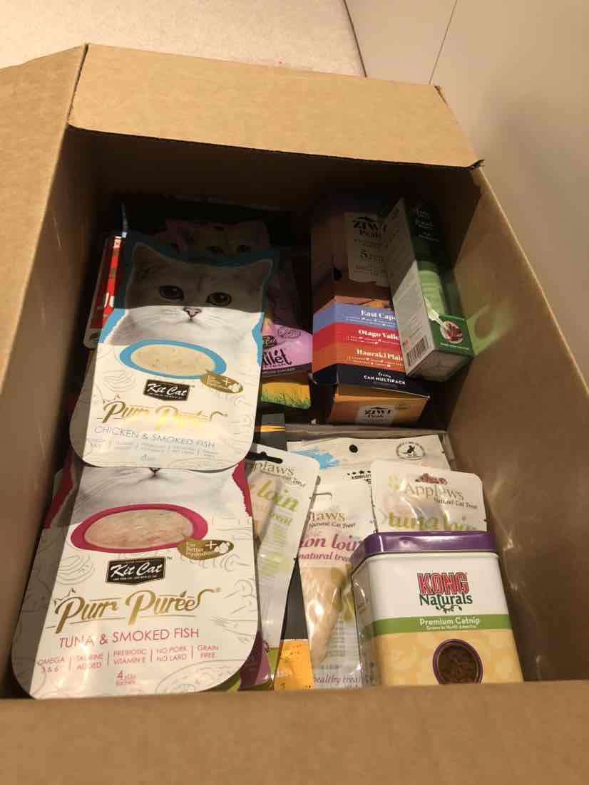 Charlotte - New South Wales