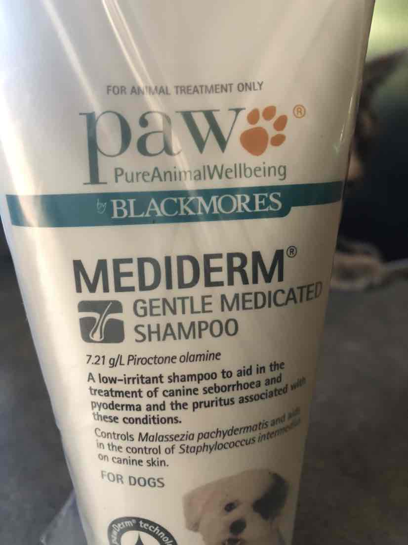 mediderm dog shampoo