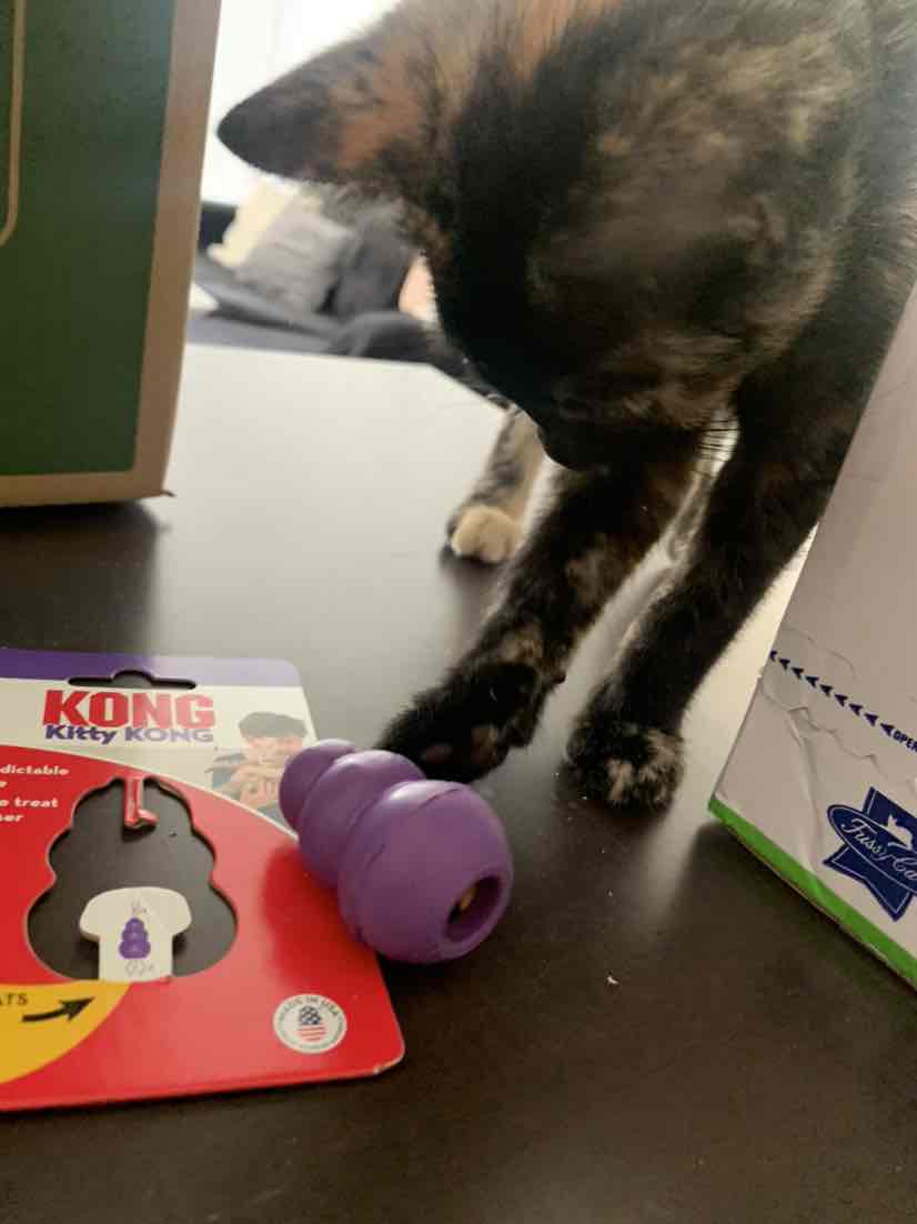 KONG Kitty KONG Cat Toy 