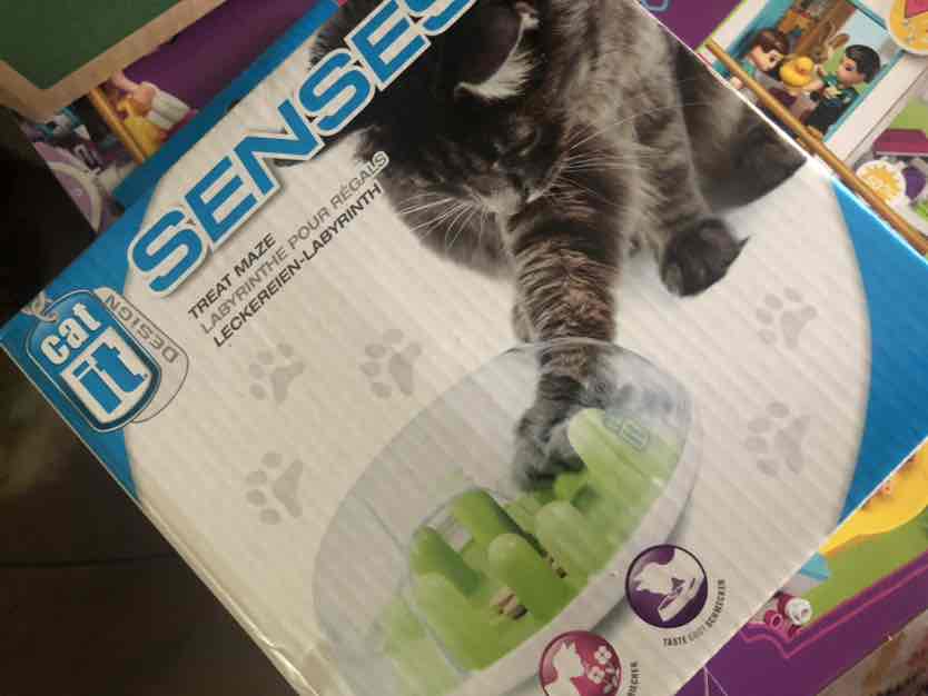 Catit best sale treat maze