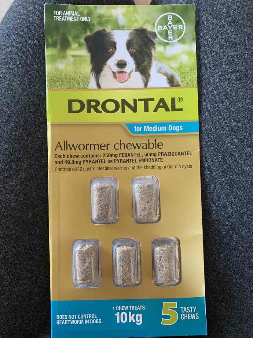 drontal all wormer chewable