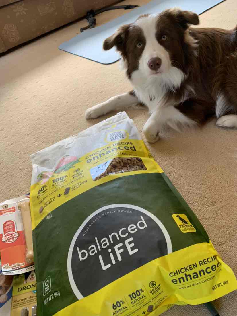 Balanced life enhanced dog sales food