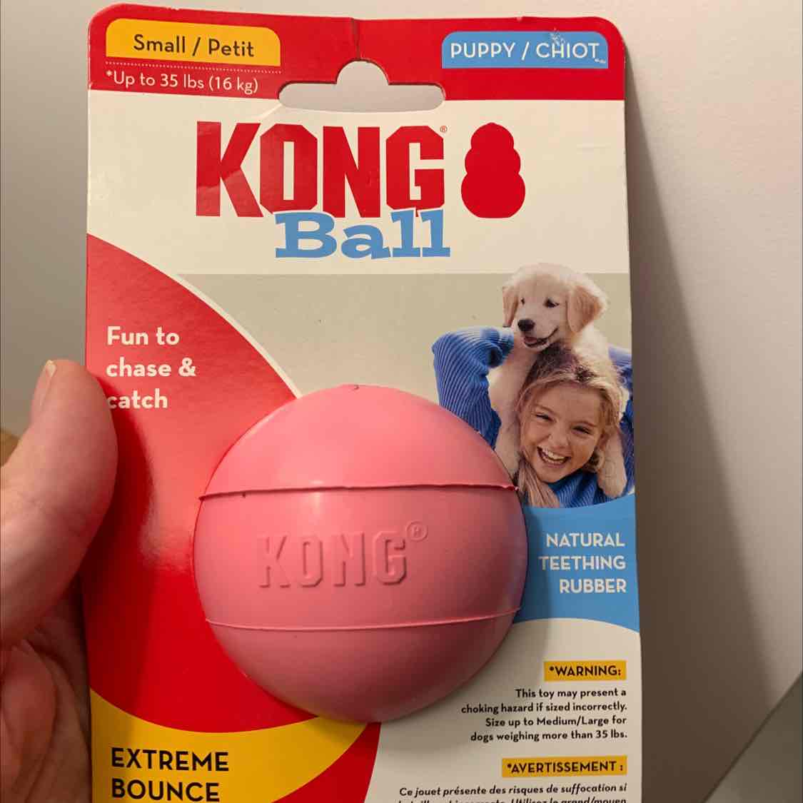 Puppy deals kong ball