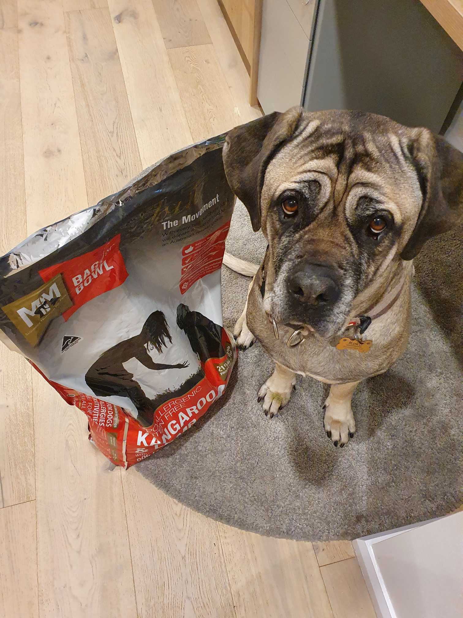 Meals For Mutts MfM Kangaroo And Lamb Adult Dry Dog Food 20kg 106.95