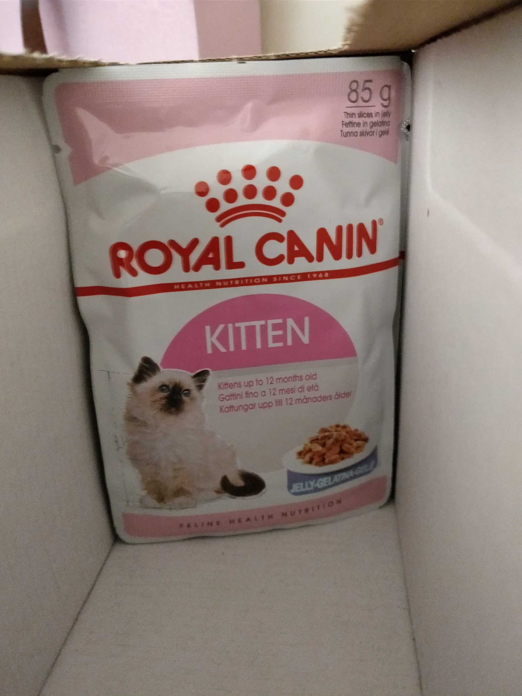 royal canin jelly kitten