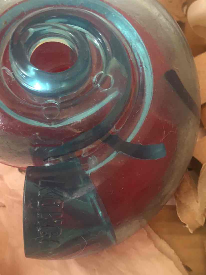 kong rewards shell large