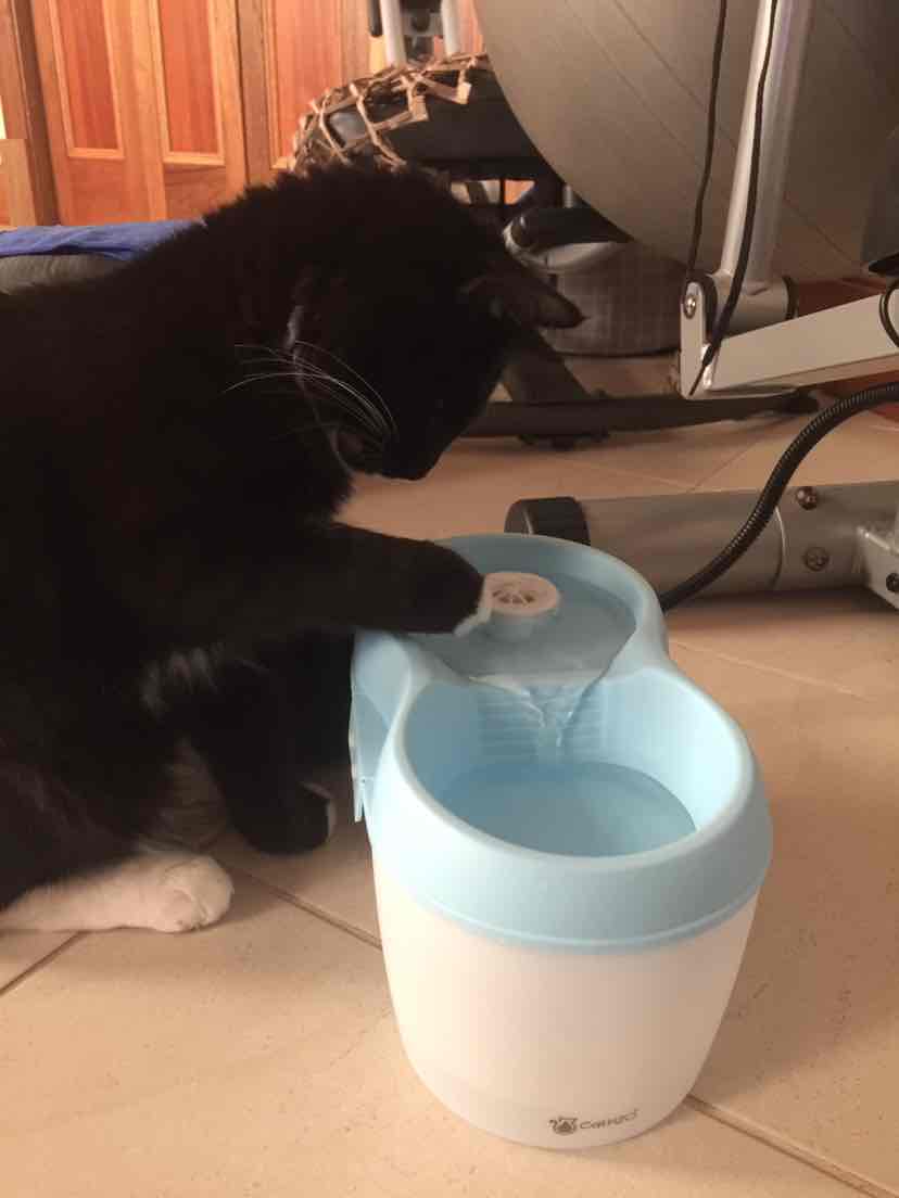 Trouble And Trix Cat Water H2O Fountain 2L 49.71