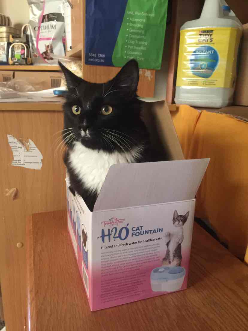 Trouble And Trix Cat Water H2O Fountain 2L 49.71