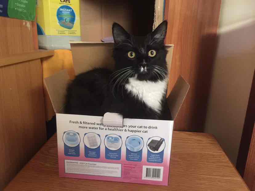 Trouble And Trix Cat Water H2O Fountain 2L 49.71