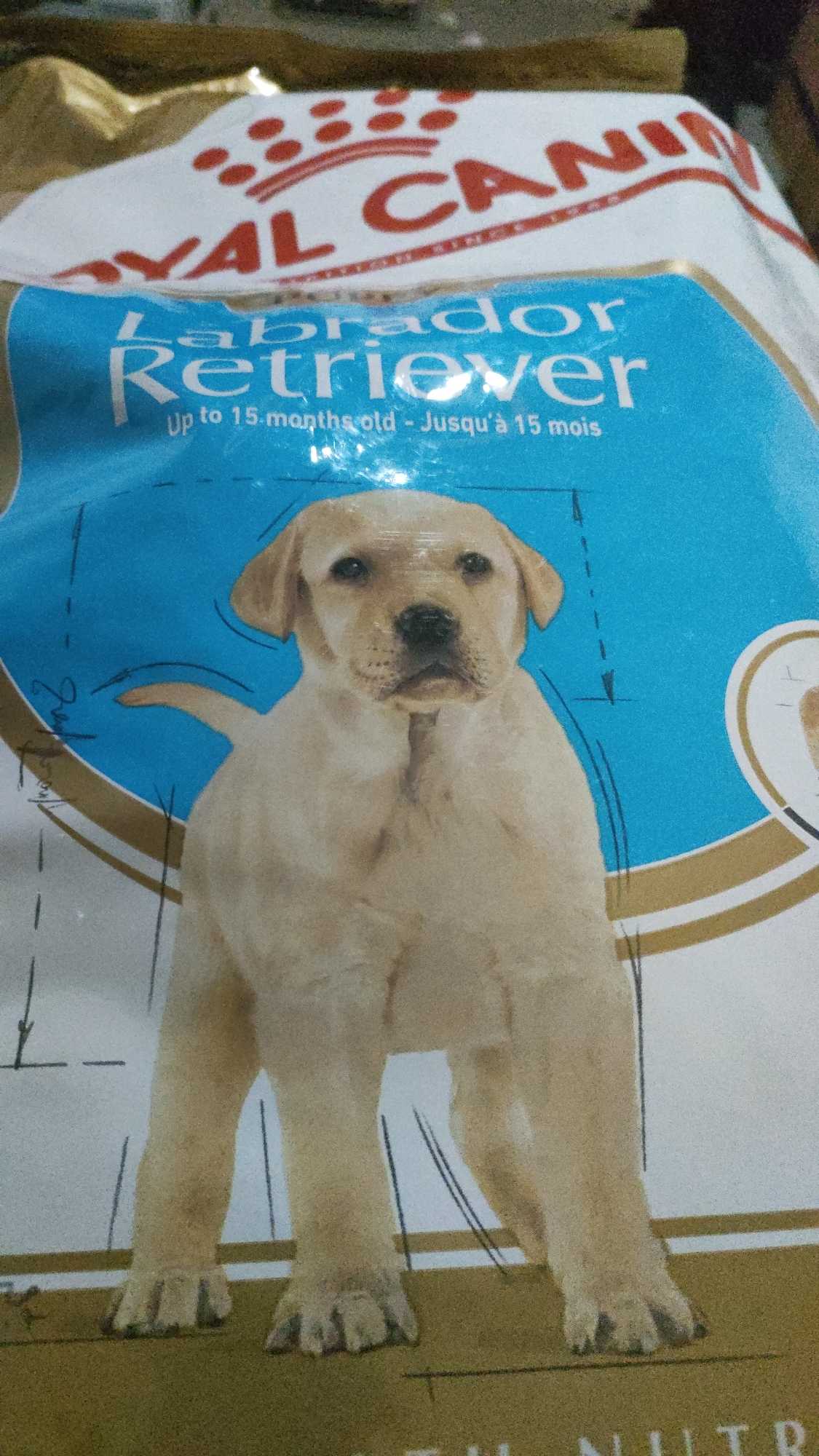 Labrador puppy starter on sale food