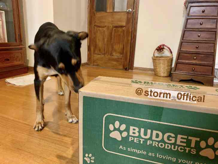 Budget pet products store reviews