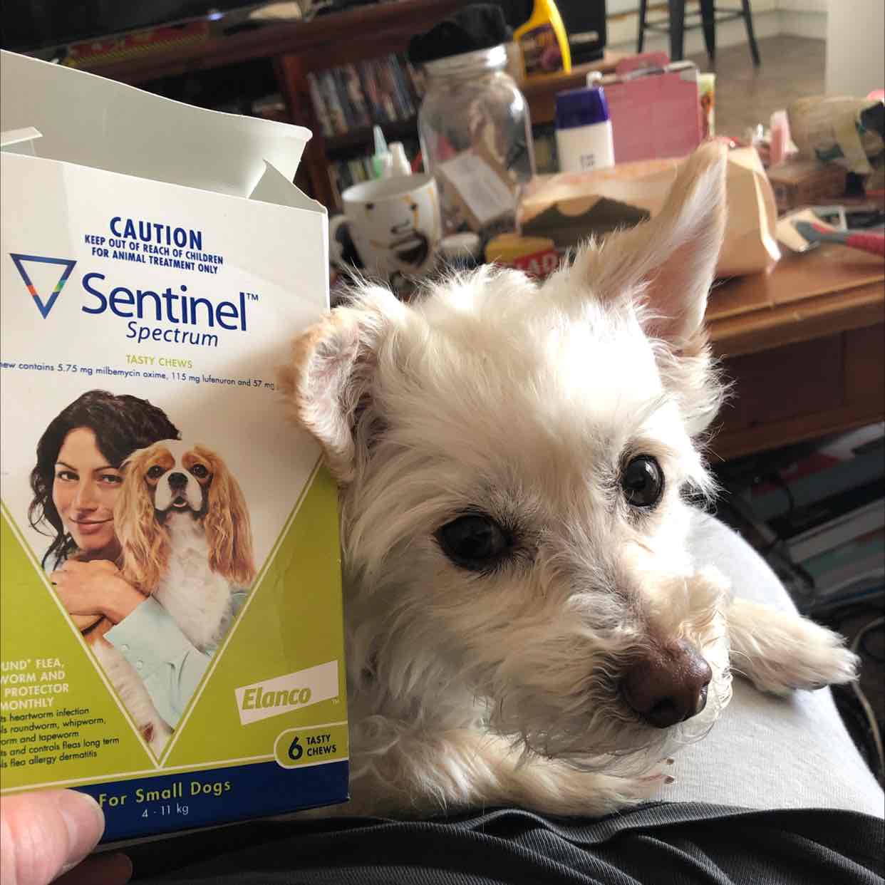 sentinel green 6 pack