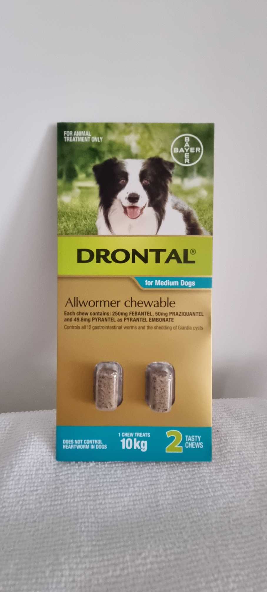drontal allwormer chewable