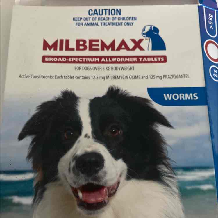 milbemax allwormer