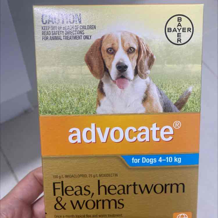 advocate dog medium