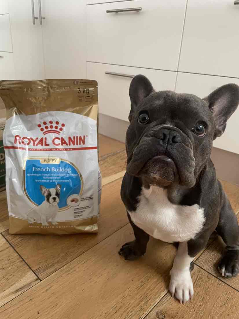 Royal Canin French Bulldog Puppy Dry Dog Food 3kg 50.00