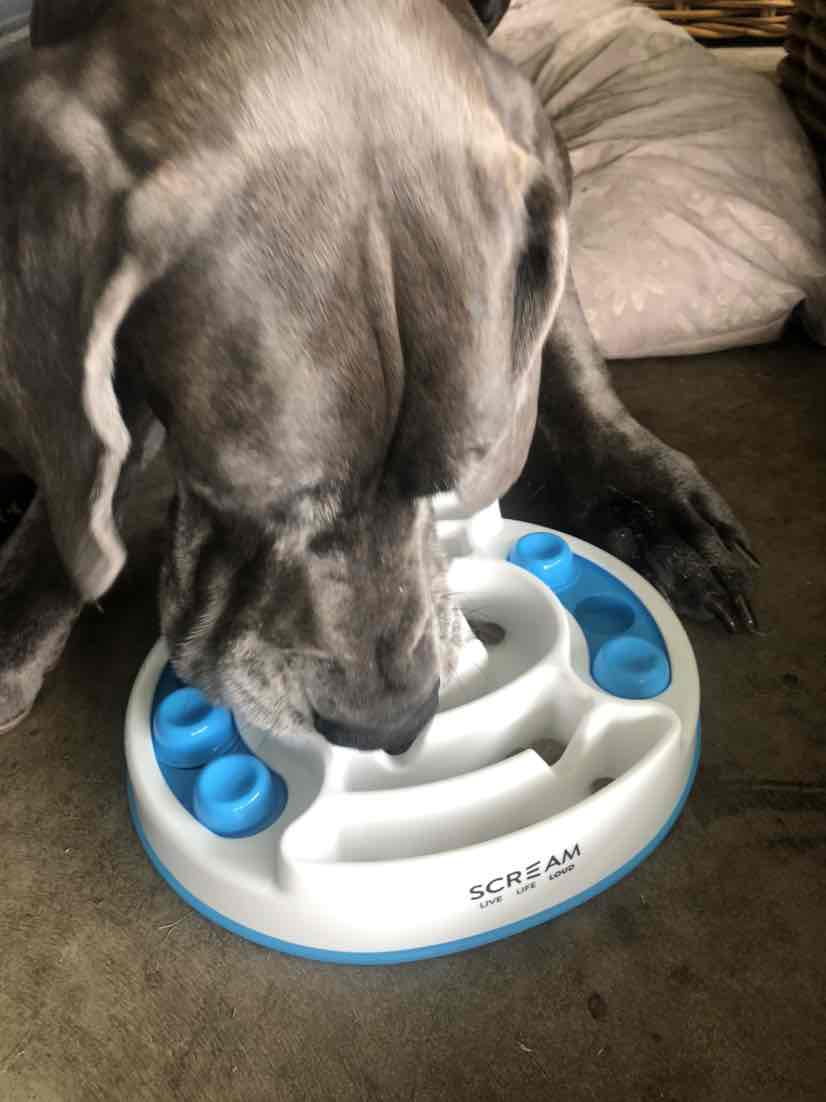 Scream Interactive Slow Feeder Maze Puzzle Bowl Loud Blue For Dogs 24.69