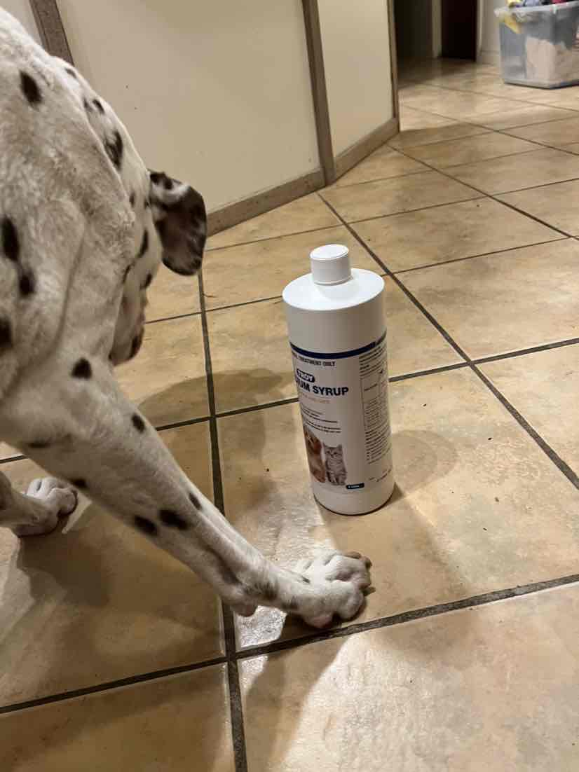 Troy Calcium Syrup For Dogs And Cats 250ml 42.64