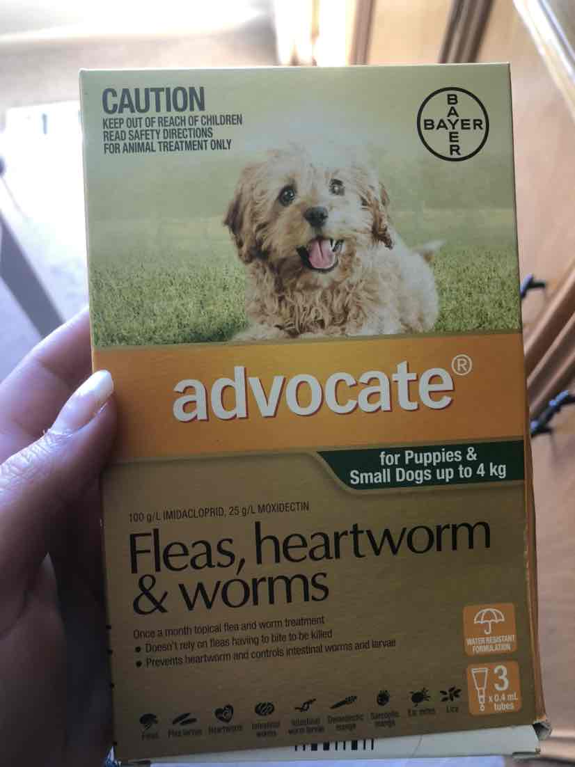 Advocate flea treatment for small outlet dogs