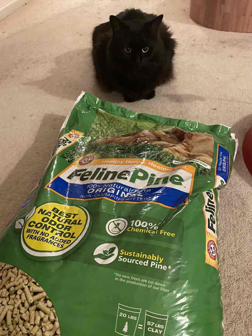feline pine cat litter 20 lbs