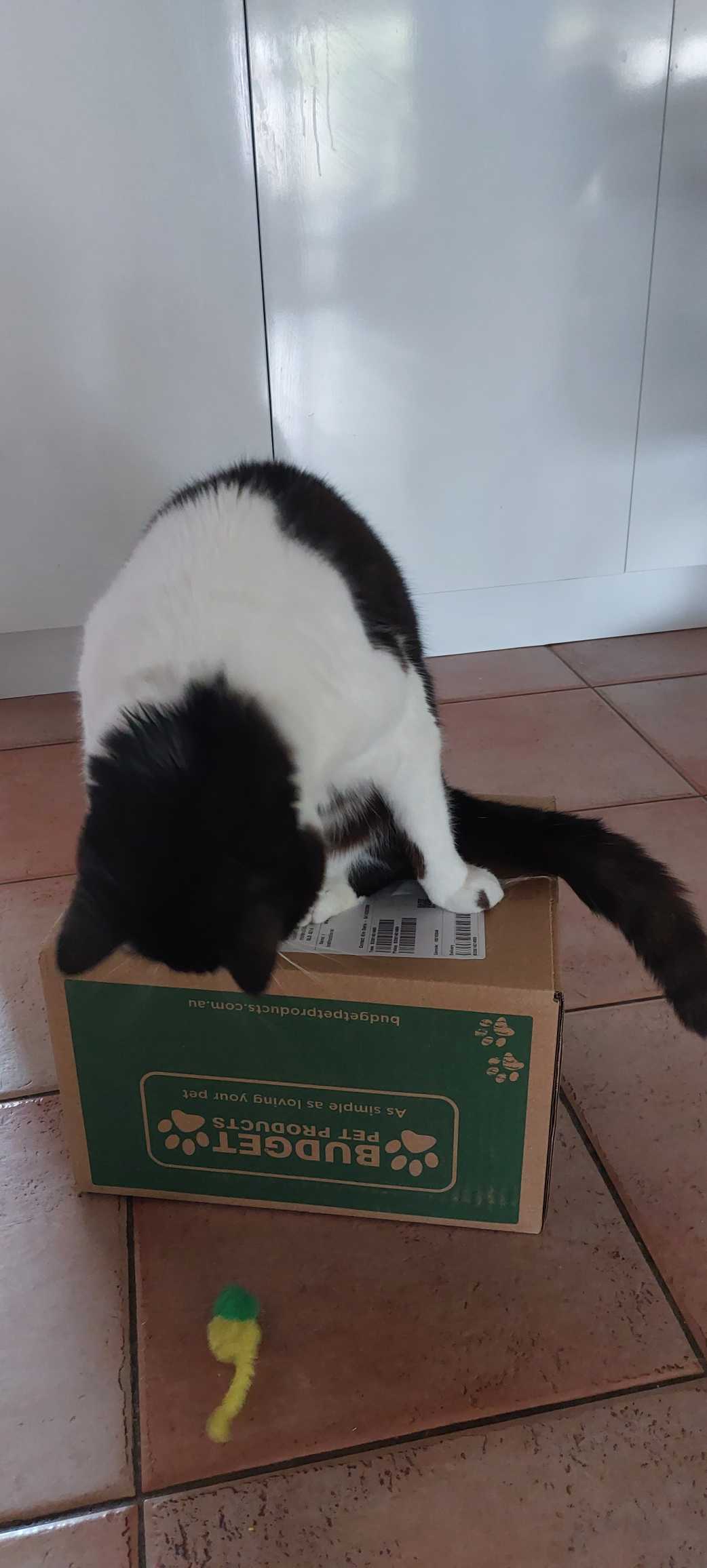 Cats Best Original Wood Plant Fibre Clumping Litter 30L/13kg 83.00