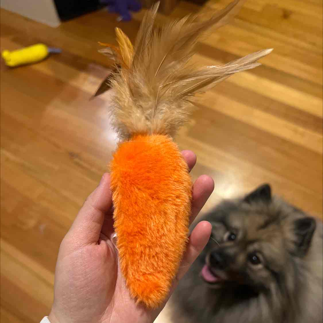 KONG Refillables Carrot w/Feather Top Cat Toy – Petsense