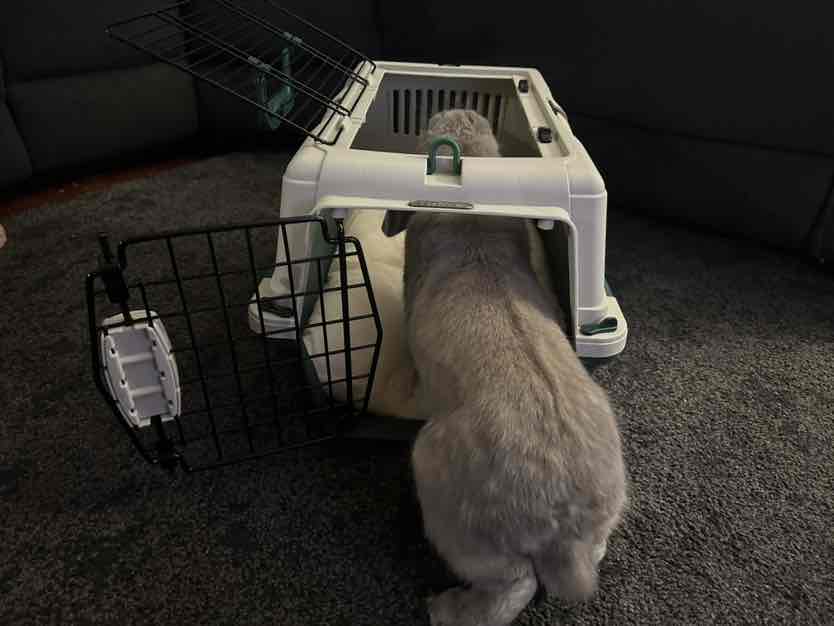 FurKidz Deluxe Large Open Top Travel Carrier Dark Blue Beige For Dogs