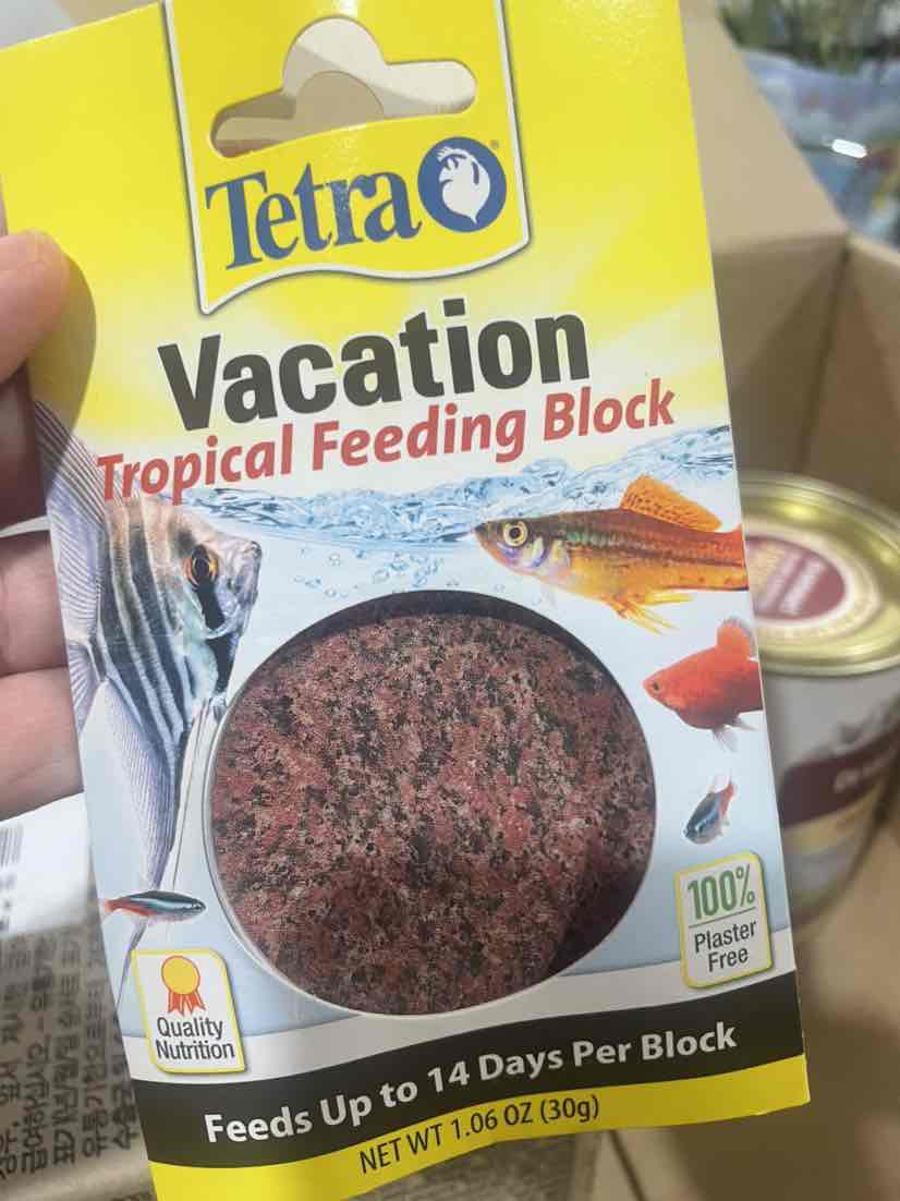 Vacation Tropical Feeding Block