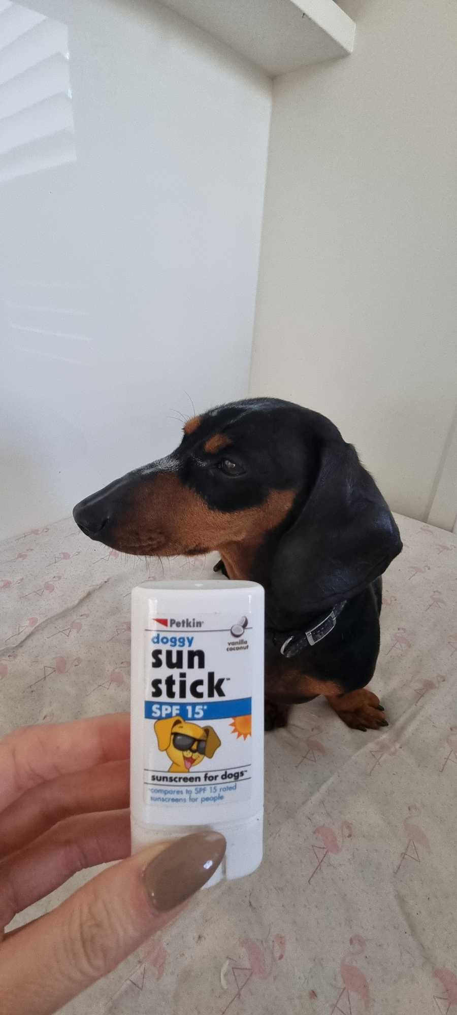 Doggy sunstick best sale