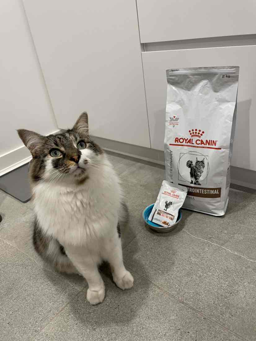 Royal Canin Veterinary Diet Feline Gastrointestinal Hairball Dry Cat Food 2kg 55.90