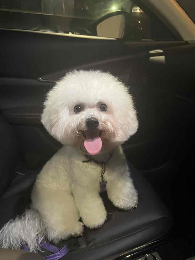 zeez washable diaper